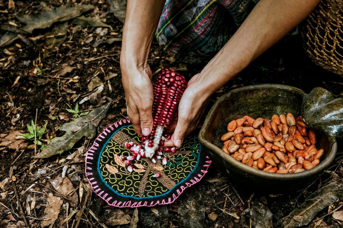 woman hands holding pomegranate